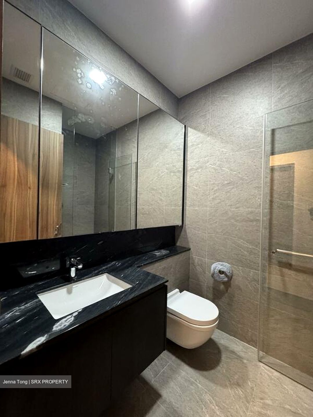 Daintree Residence (D21), Condominium #517181431